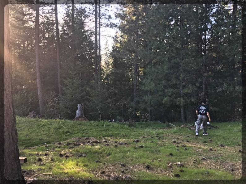 Mosquito property looking towards revine